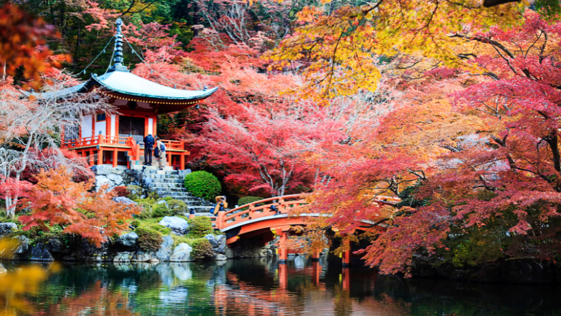 Alberto Toshio Murakami