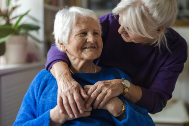 Sindnapi - Sindicato Nacional dos Aposentados, Pensionistas e Idosos